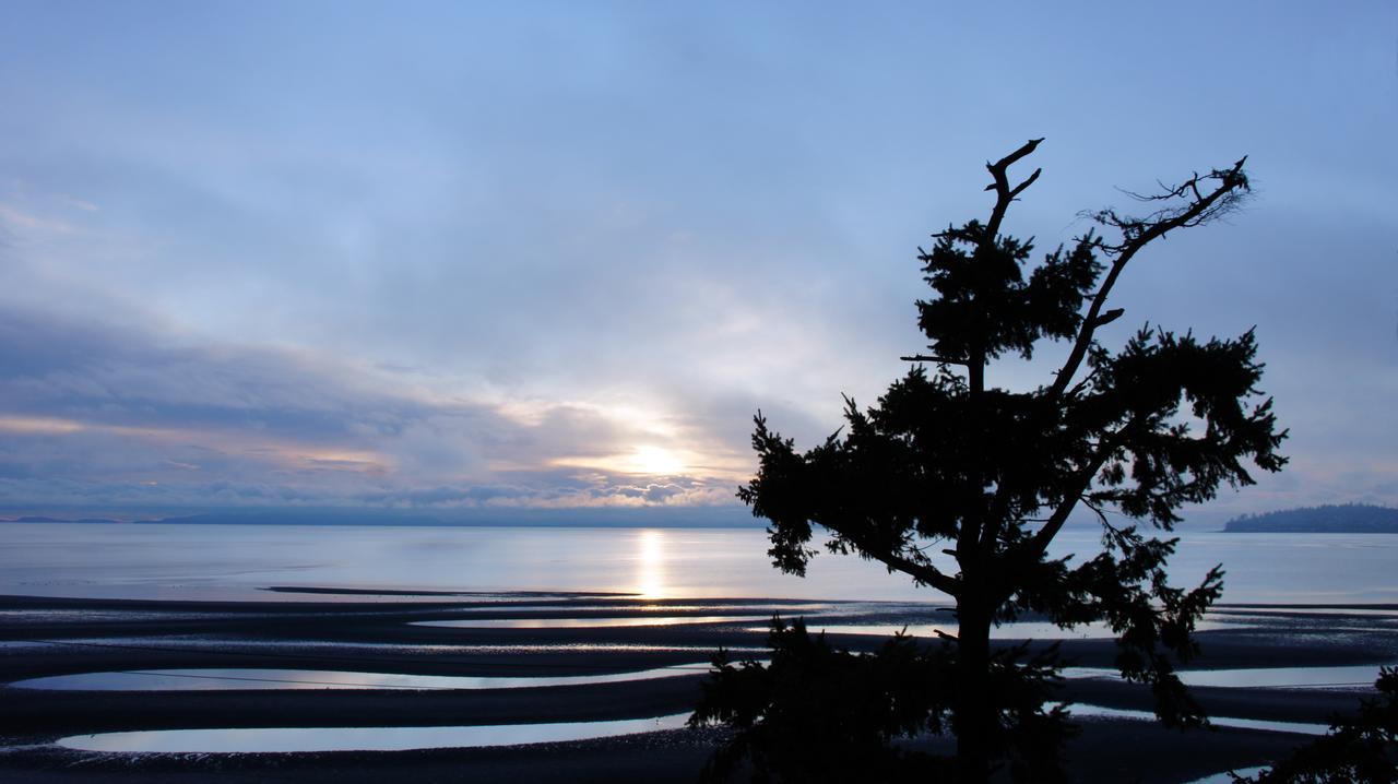 Raintree'S Sandcastle, Birch Bay Blaine Exteriör bild